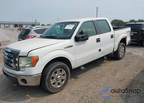2009 Ford F-150 Fx4/King Ranch/Lariat/Platinum/Xl/Xlt z USA, uszkodzony, nr VIN 1FTPW14V99FB42429